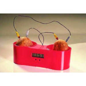 Fruit & potato clock